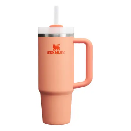 Vaso Quencher 887 Ml Vaso Térmico Con Bombilla Stanley Nectarine